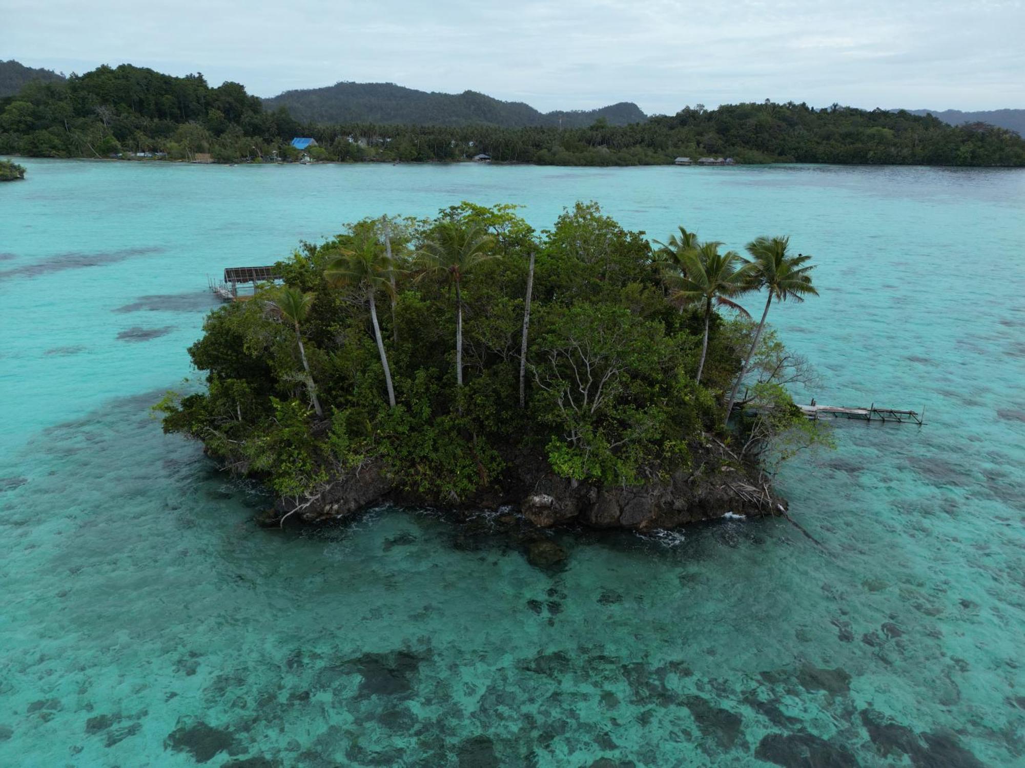 Friwen Mangrove Eco * Yennanas Besir